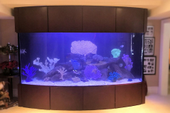 1000-Gallon-Bowfront