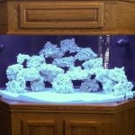 New reef structure in aquarium