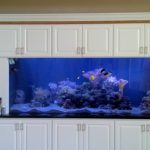 Reef Tank with Custom Cabinetry