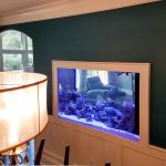 In-wall Room Divider Reef Tank