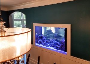 In-wall Room Divider Reef Tank