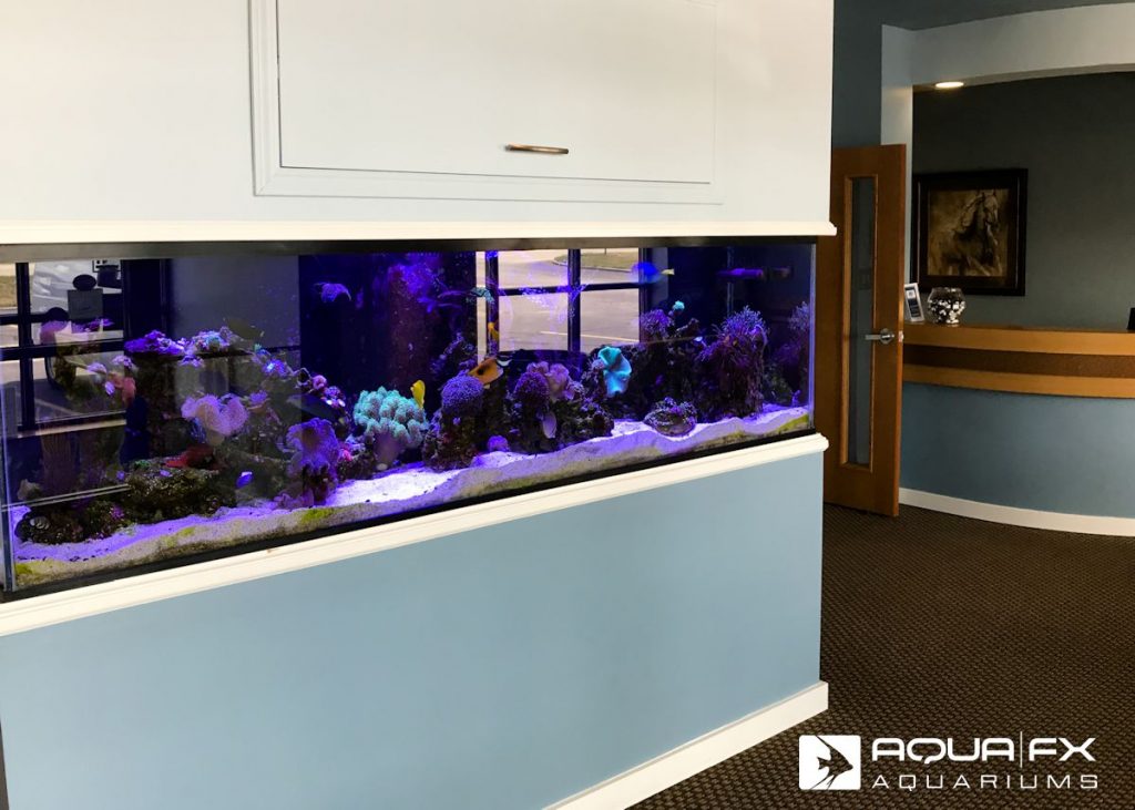 Aqua FX Built Reef Aquarium