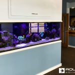 Aqua FX Built Reef Aquarium