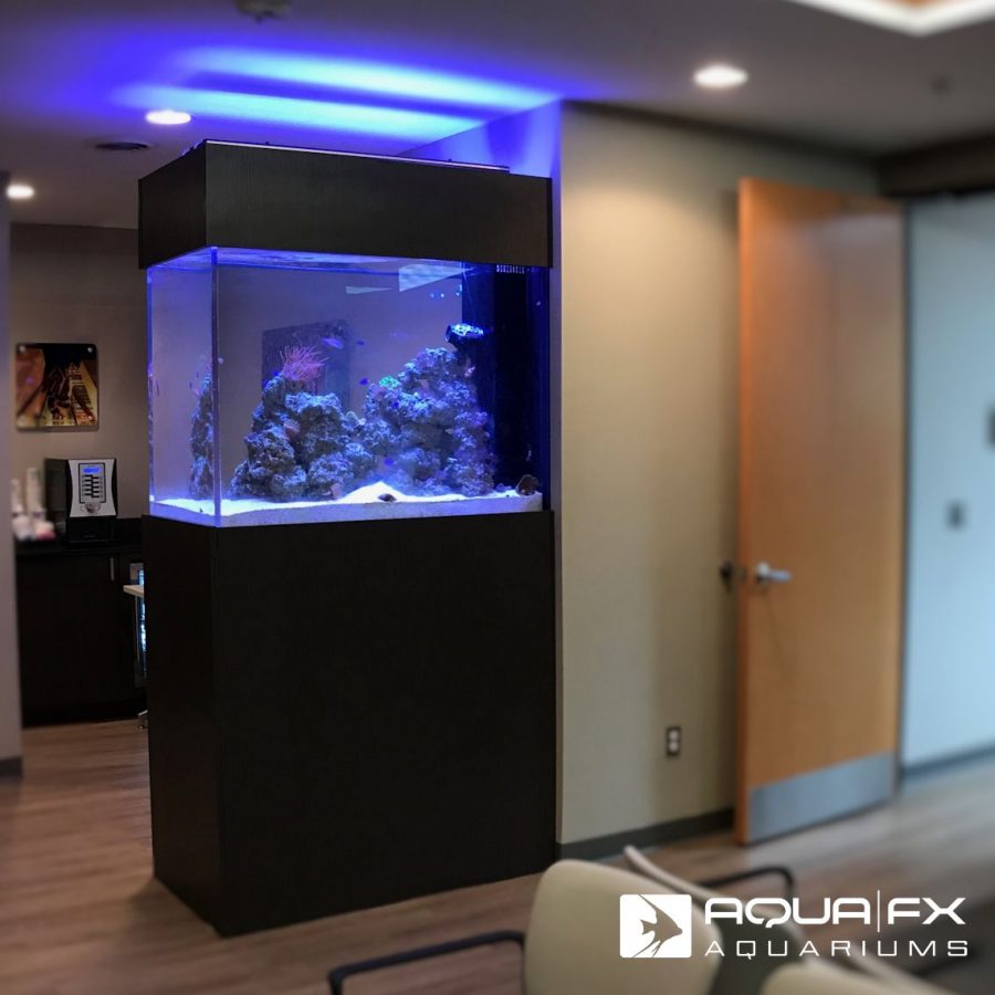 Aqua FX Designed and Installed Living Reef